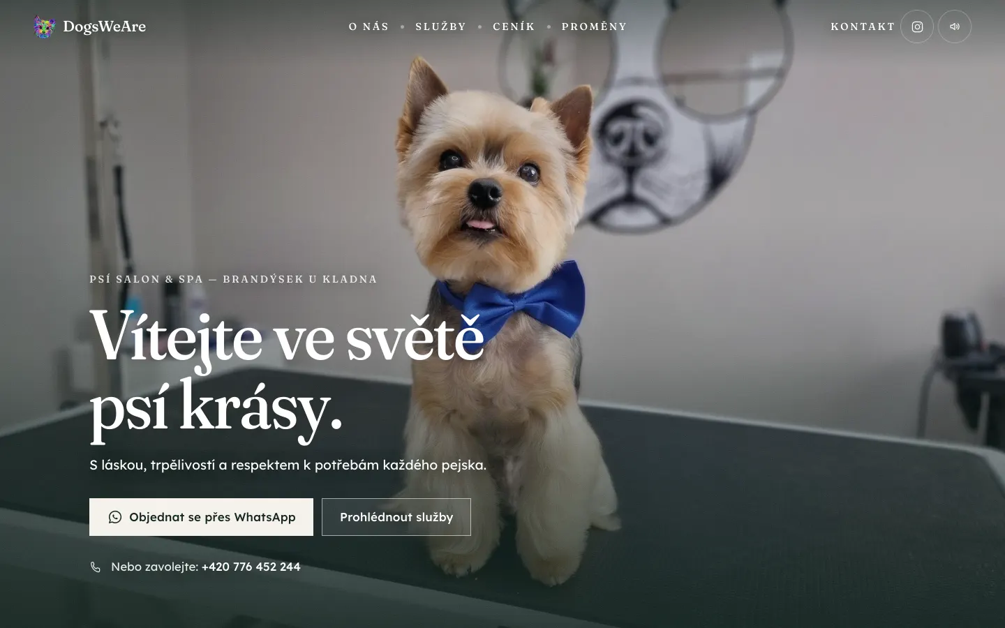 The Dogs we are website on a desktop: the salon's Yorkie on the grooming table and a WhatsApp booking button.